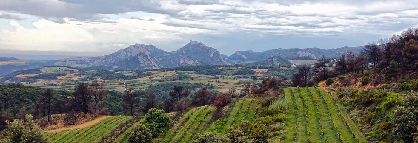 Walking in Northern Provence