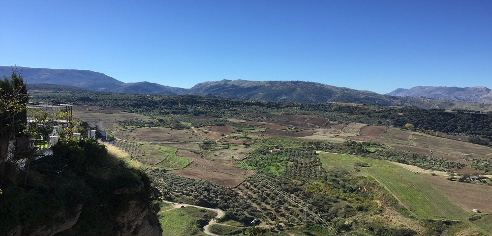 Olive orchards below Zahara
