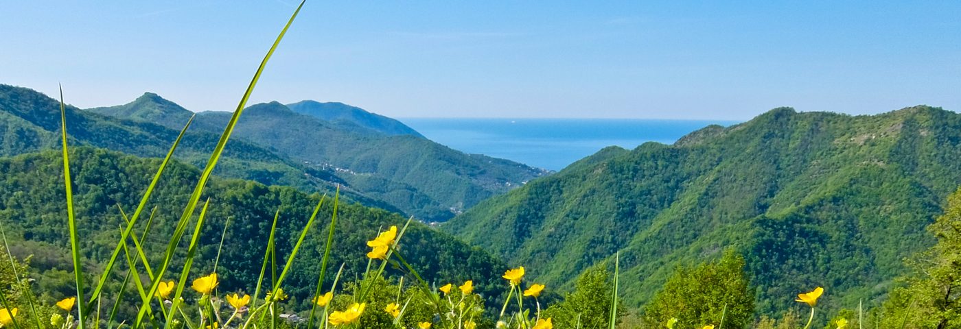 The Ligurian hills