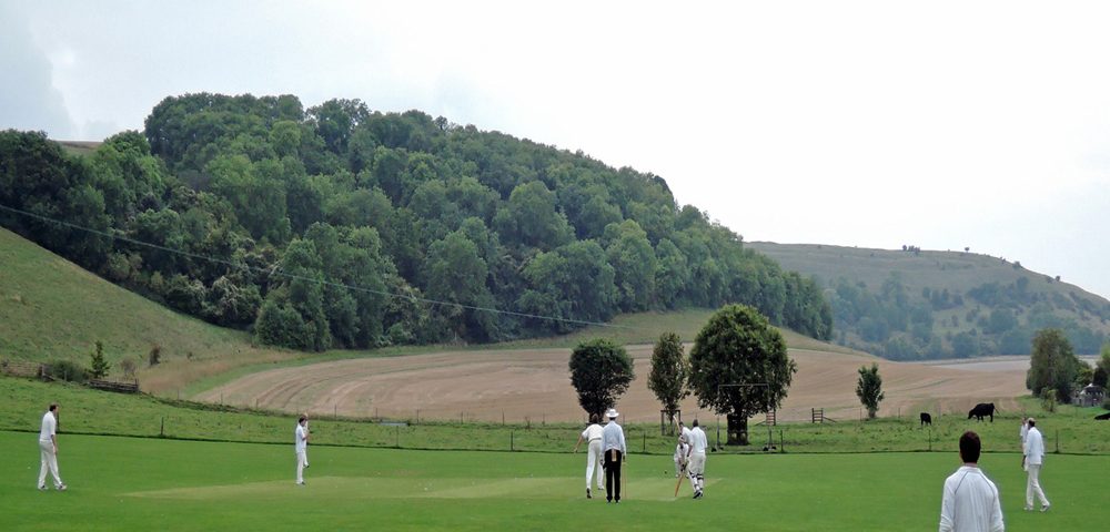 Cricket match at Milton Abbey