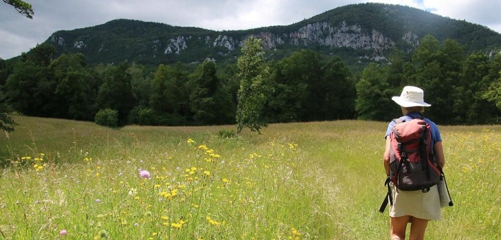 Green meadows and distant hills