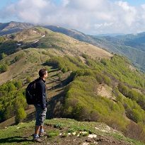 Ligurian Hills Ligurian Hills