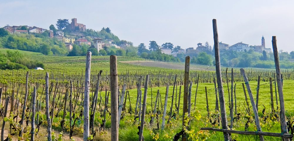 Vines and village