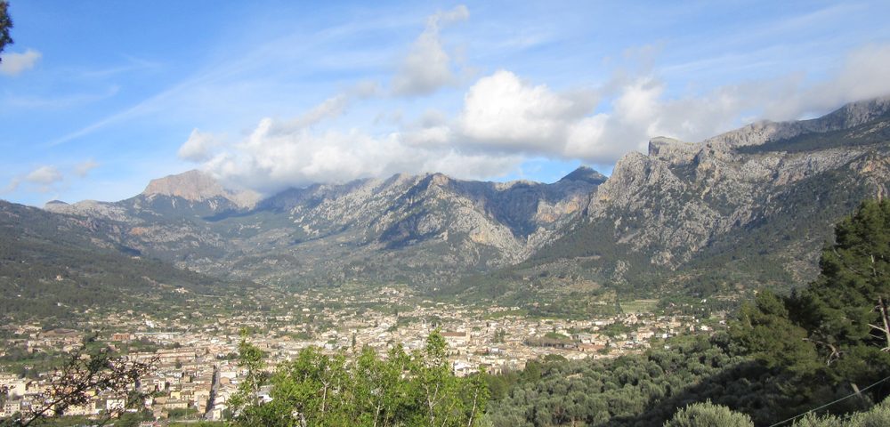 Soller