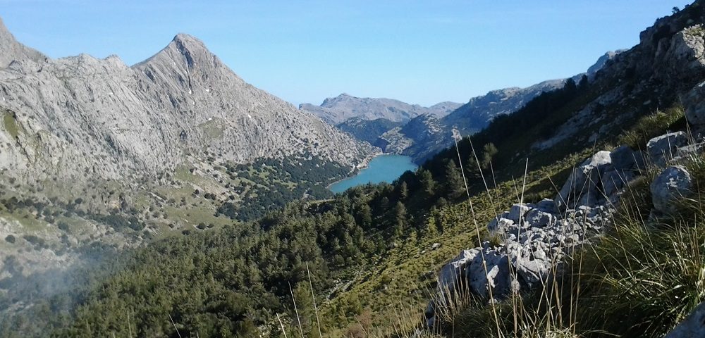 Gorg Blau from above Cuber