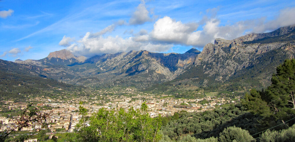 Soller