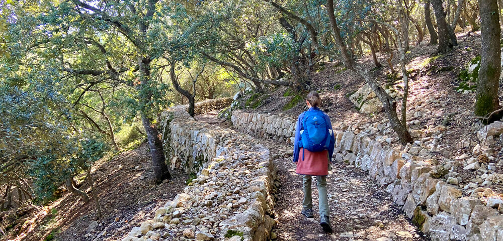A typical Mallorcan path