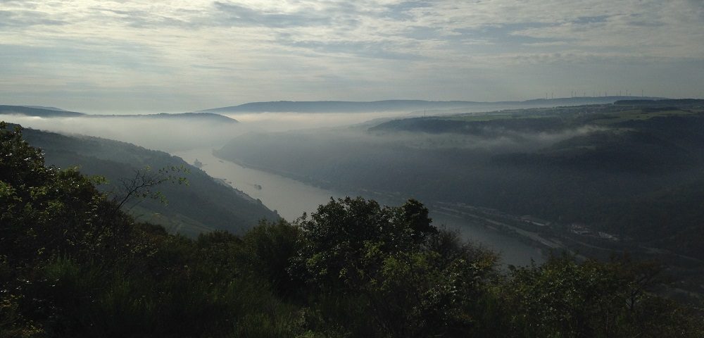 Mist over the Rhine