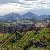 Northern Provence Northern Provence