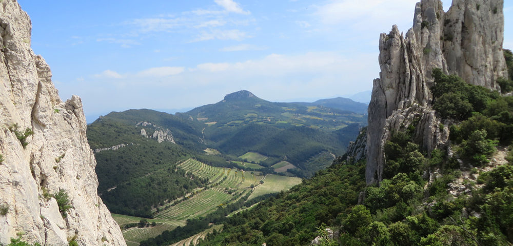 View from the Dentelles