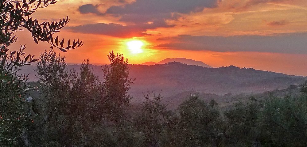 Sunset over Stefano's olive groves