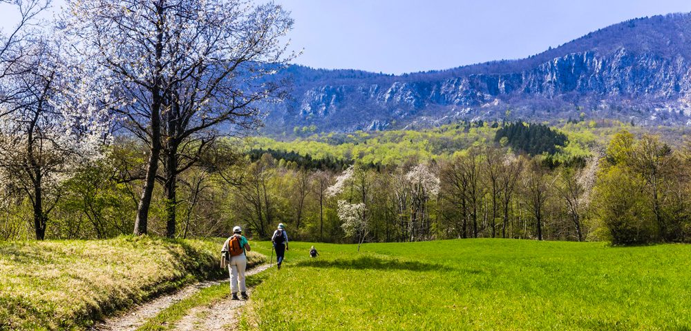 Walking towards Nanos