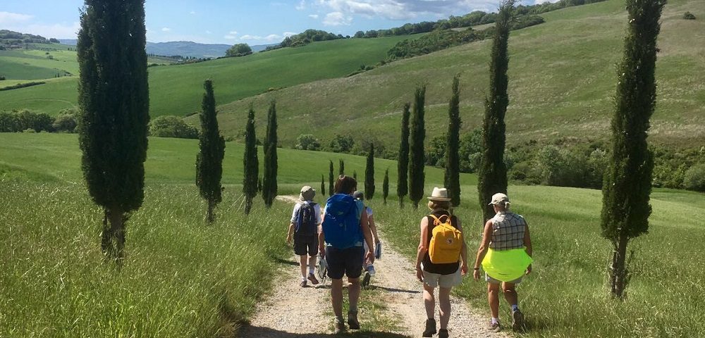 A typical walk in Tuscany