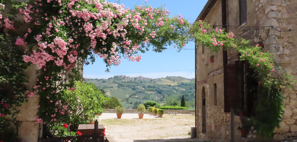 Summer gardens in Farfa