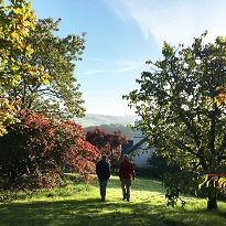 England: Devon England: Devon