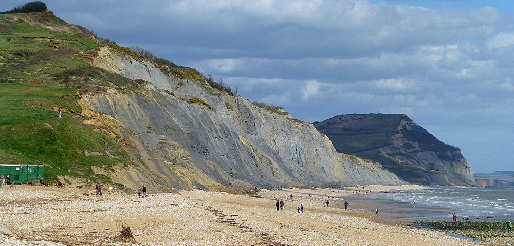 Fossil hunting in the cliffs at Charmouth near Lyme Regis