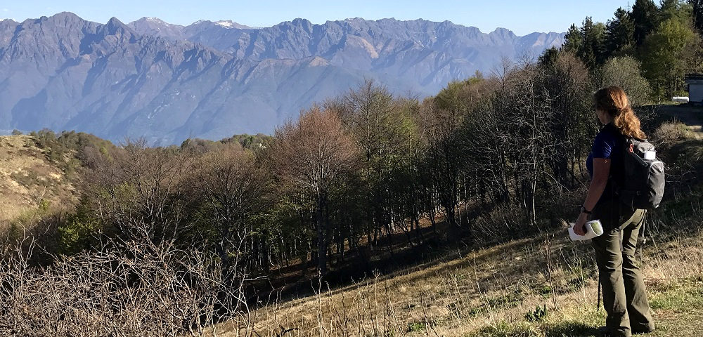 Monte Rosa from Mottarone