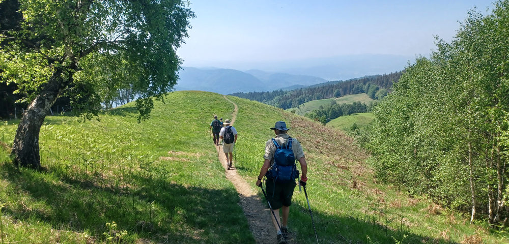 Descending Mottarone