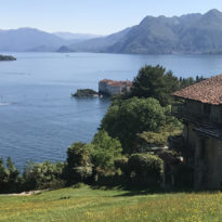 Piedmont named as Lonely Planet’s Top Region to Visit in 2019 Piedmont named as Lonely Planet’s Top Region to Visit in 2019