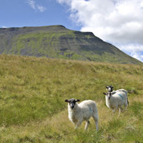 England: Yorkshire Dales