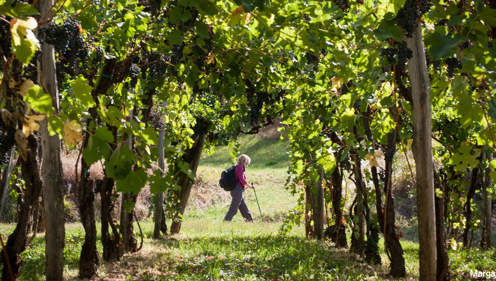 Gorges du Tarn Gorges du Tarn
