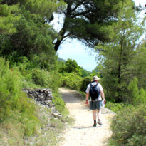 A quick guide to walk grading A quick guide to walk grading