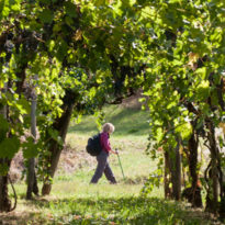 Discover Slovenia with On Foot Holidays Discover Slovenia with On Foot Holidays