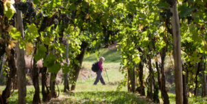 Discover Slovenia with On Foot Holidays Discover Slovenia with On Foot Holidays