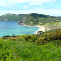 See our new short film of the Lighthouse Way See our new short film of the Lighthouse Way
