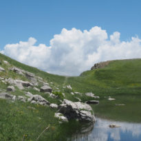 In search of Zagori’s dragons In search of Zagori’s dragons