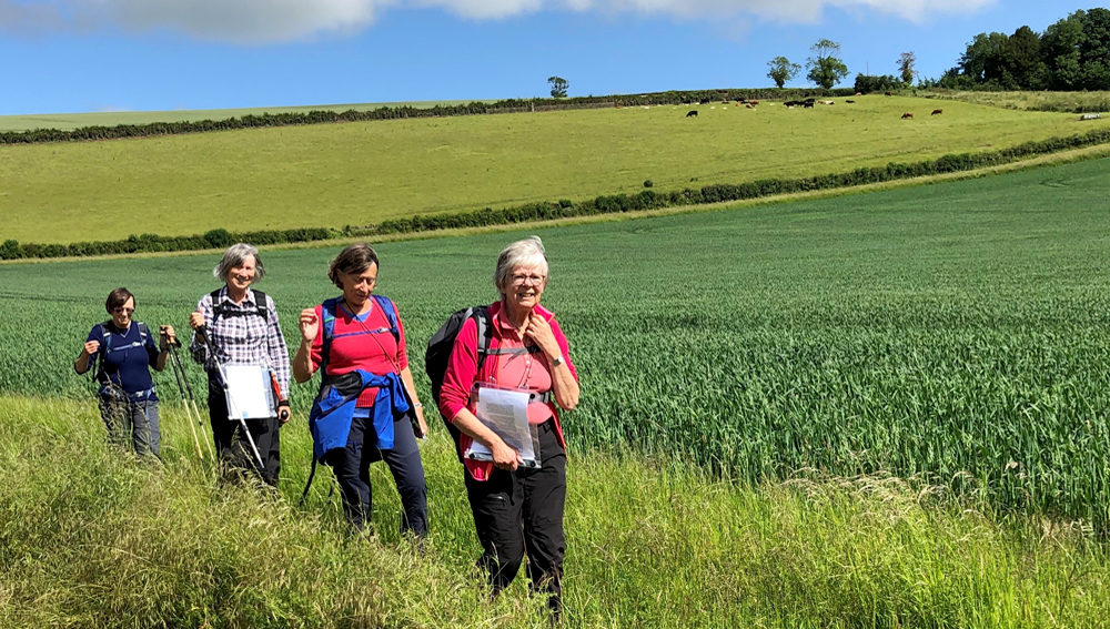 Villages perchés to Belle Epoque Menton