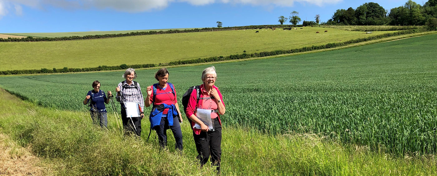 The green fields of Dorset