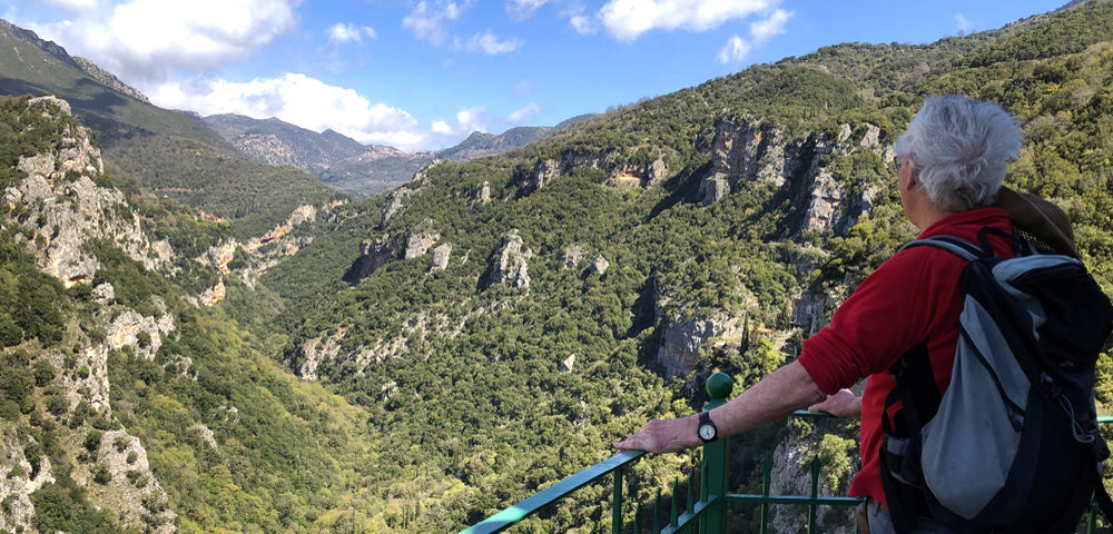 A bird's eye view of Lousios Gorge