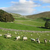 Enjoying Yorkshire in lockdown Enjoying Yorkshire in lockdown
