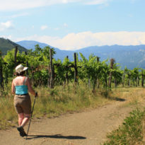 Wine: words of wisdom from home and abroad Wine: words of wisdom from home and abroad