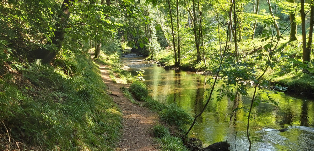 Lush greens of the East Lyn valley