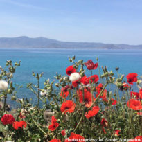 Spring returns to Europe Spring returns to Europe