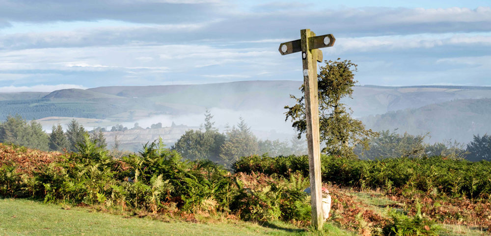 Misty morning (photo: Nigel Sheath)