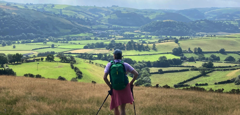 The Teme valley near Knighton