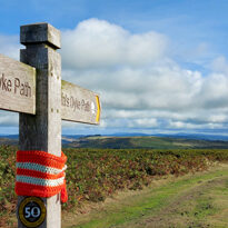 England and Wales: Welsh Borders