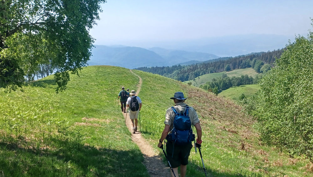 Villages perchés to Belle Epoque Menton