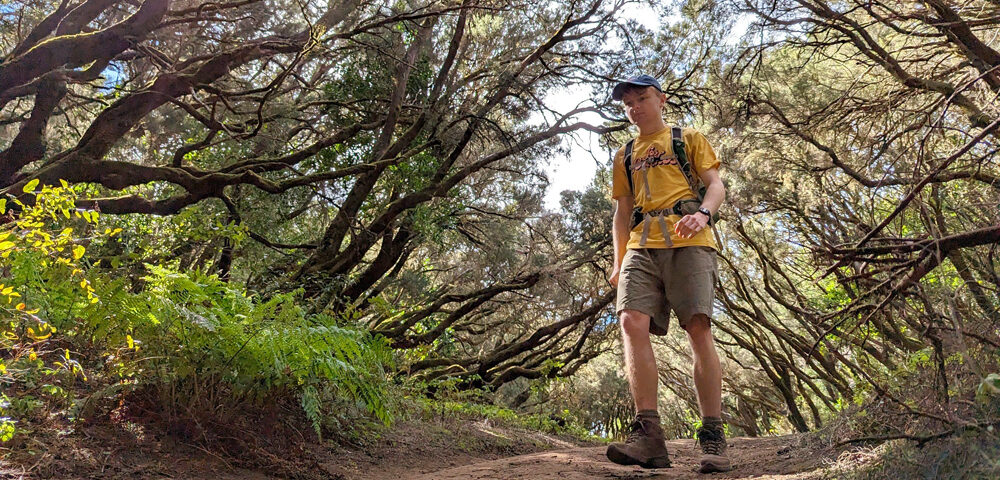 Hiking through the laurisilva forest