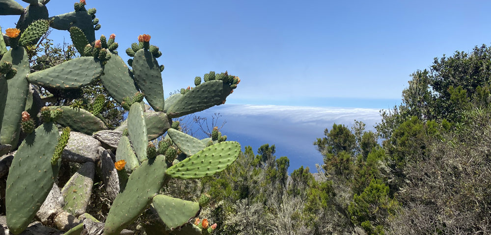 A self-guided walking holiday on the island of La Gomera with On Foot Holidays