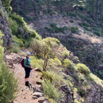 Whistling and walking on La Gomera Whistling and walking on La Gomera