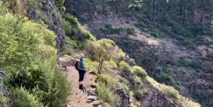 Whistling and walking on La Gomera