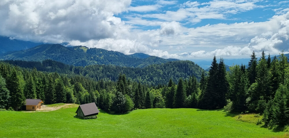 Mountains, meadows and forests