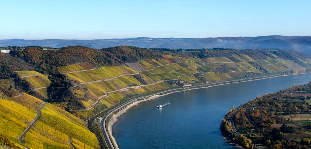 Vines clothe the south-facing slopes