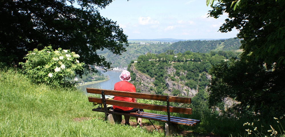 Pause for views towards the Loreley