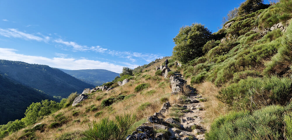 Chemin de Stevenson