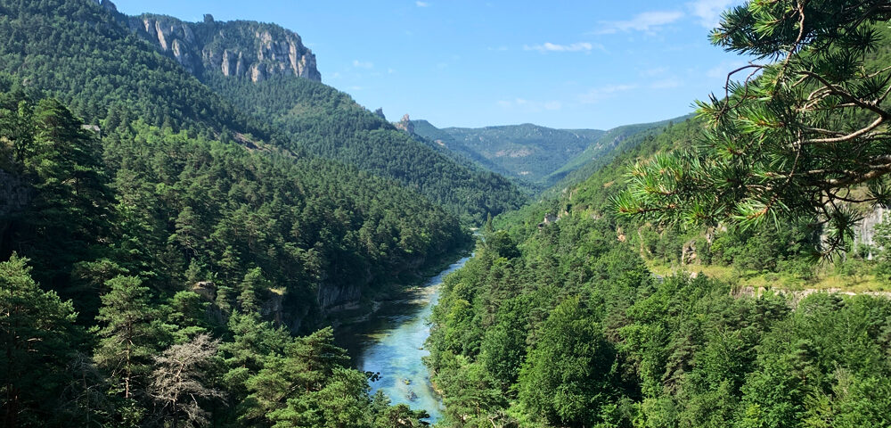 The green Gorges du Tarn
